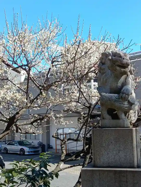 高円寺氷川神社(東京都)