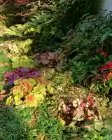 寿量山 速成寺の自然