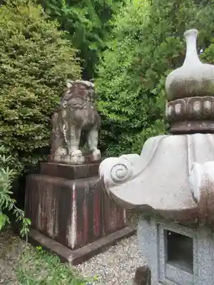 栃木縣護國神社の狛犬