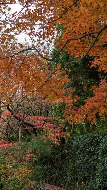 龍安寺(京都府)