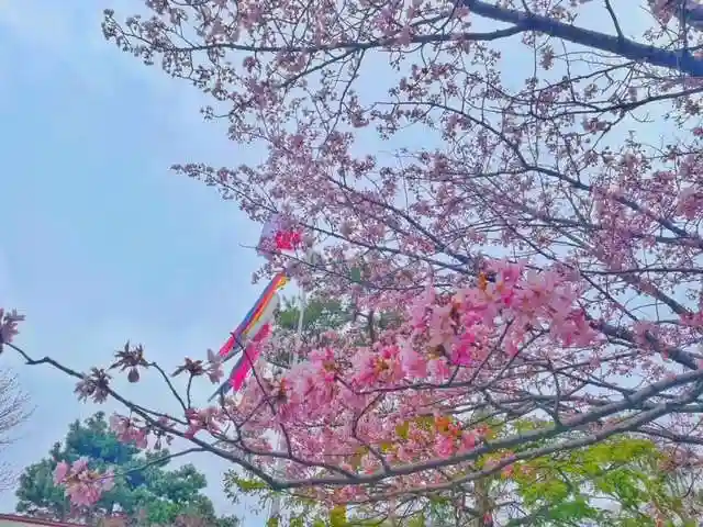 彌彦神社 (伊夜日子神社)の自然