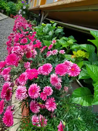 豊景神社(福島県)