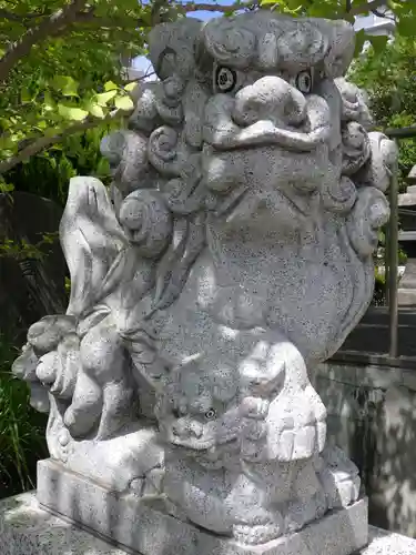 亀戸浅間神社の狛犬