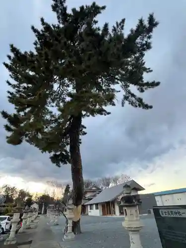 富士浅間神社(群馬県)