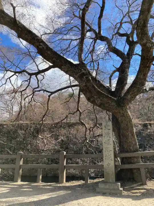 歳徳神社の自然