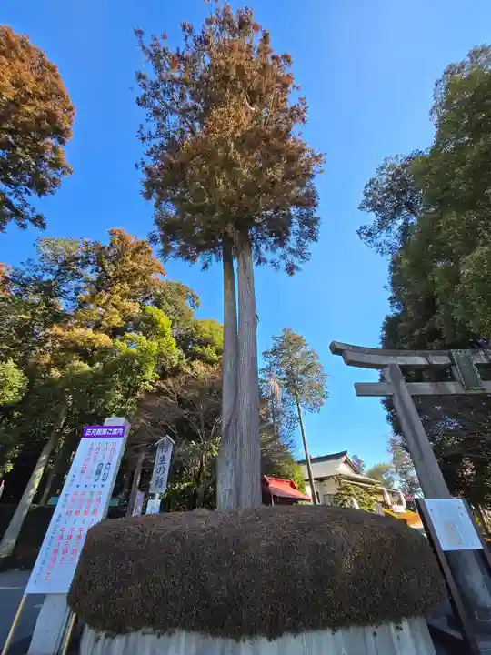 白鷺神社(栃木県)