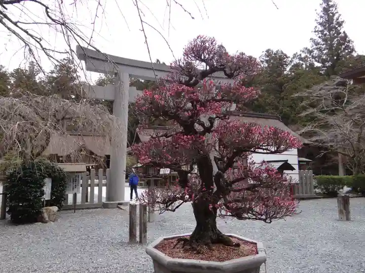 小國神社(静岡県)