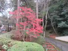 根来寺 智積院(京都府)