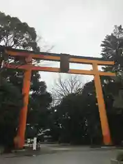 川越氷川神社の鳥居