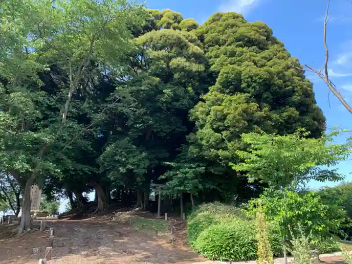 大六天神社(千葉県)