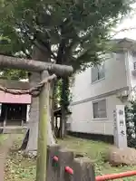 高田馬場天祖神社の手水舎