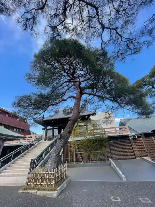 光明院(東京都)