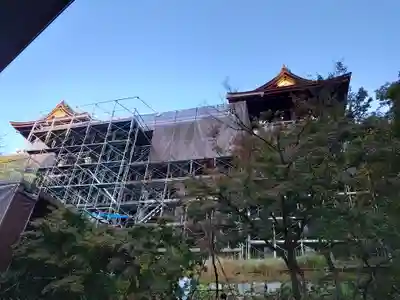 清水寺の本殿・本堂