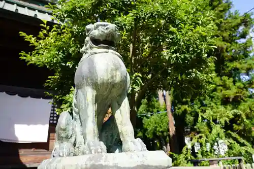 神炊館神社 ⁂奥州須賀川総鎮守⁂の狛犬