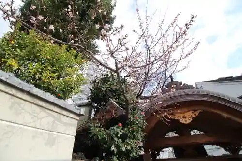 温泉寺(静岡県)