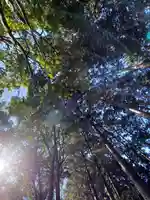 高尾山薬王院の自然