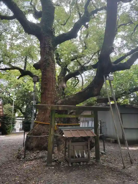 箕曲中松原神社(三重県)