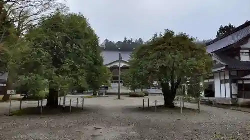 立山寺の本殿・本堂