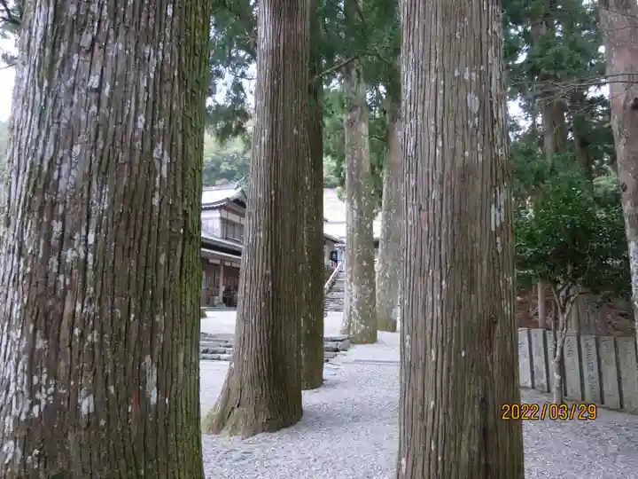 焼山寺(徳島県)