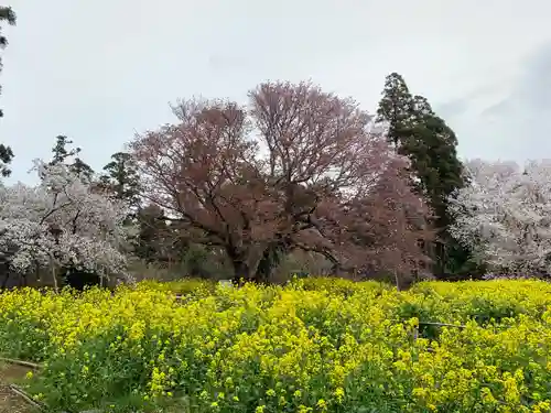 小鷹神社(千葉県)