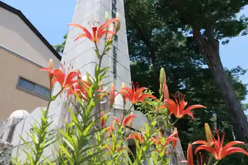 安積國造神社の庭園