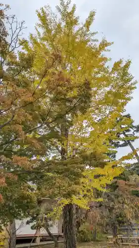  智積院(京都府)