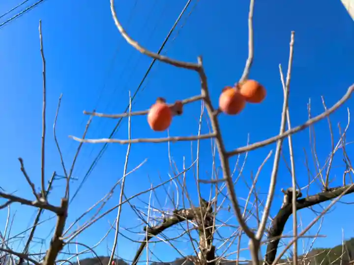 倶梨迦羅神社(長野県)