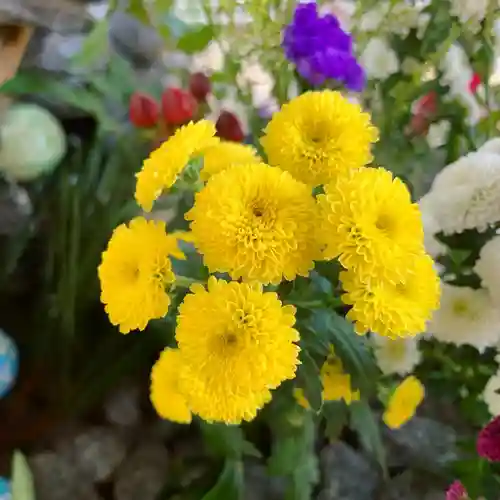 滑川神社 - 仕事と子どもの守り神の手水舎