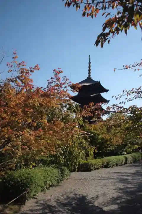 東寺(教王護国寺)の庭園