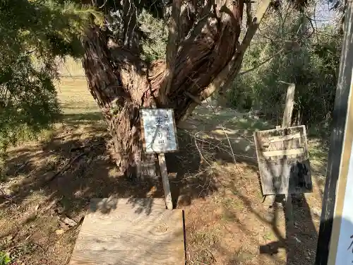 比々多神社元宮の{uncategorized: "未分類", other: "その他", undefined: "問題あり", building: "その他建物", grave: "お墓", sacred_gate: "鳥居", guardian: "狛犬", statue: "像", buddha: "仏像", history: "歴史", nature: "自然", garden: "庭園", animal: "動物", pagoda: "塔", temizu: "手水舎", mountain_gate: "山門・神門", sanctuary: "本殿・本堂", subordinate: "末社・摂社", art: "芸術", scenery: "景色", jizo: "地蔵", ema: "絵馬", goshuin: "御朱印", omikuji: "おみくじ", items: "授与品その他", amulet: "お守り", goshuincho: "御朱印帳", eats: "食事", festival: "お祭り", votive_dance: "神楽", shichigosan: "七五三参", wedding: "結婚式", experience: "体験その他", initially: "初詣", around: "周辺", anti_infection: "感染症対策"}