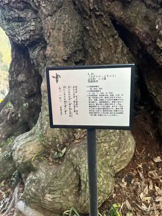 大杉神社の{uncategorized: "未分類", other: "その他", undefined: "問題あり", building: "その他建物", grave: "お墓", sacred_gate: "鳥居", guardian: "狛犬", statue: "像", buddha: "仏像", history: "歴史", nature: "自然", garden: "庭園", animal: "動物", pagoda: "塔", temizu: "手水舎", mountain_gate: "山門・神門", sanctuary: "本殿・本堂", subordinate: "末社・摂社", art: "芸術", scenery: "景色", jizo: "地蔵", ema: "絵馬", goshuin: "御朱印", omikuji: "おみくじ", items: "授与品その他", amulet: "お守り", goshuincho: "御朱印帳", eats: "食事", festival: "お祭り", votive_dance: "神楽", shichigosan: "七五三参", wedding: "結婚式", experience: "体験その他", initially: "初詣", around: "周辺", anti_infection: "感染症対策"}