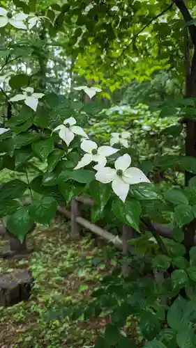 音更神社の自然