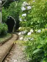 御霊神社の周辺