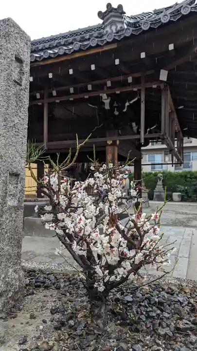 瀧尾神社の自然