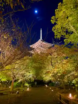東寺（教王護国寺）(京都府)