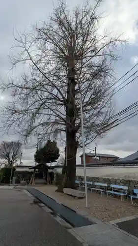 生源寺(滋賀県)