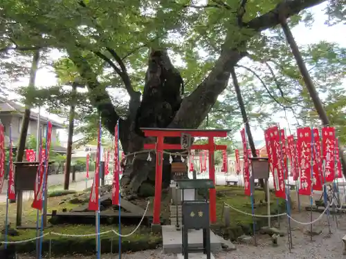 秩父今宮神社の末社