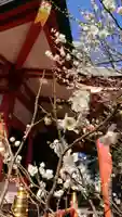 芝東照宮の自然