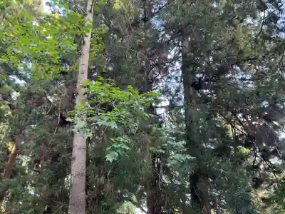 大宮温泉神社(栃木県)