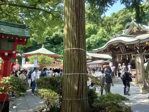 江島神社の自然