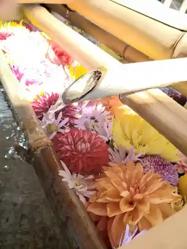 東郷神社(東京都)