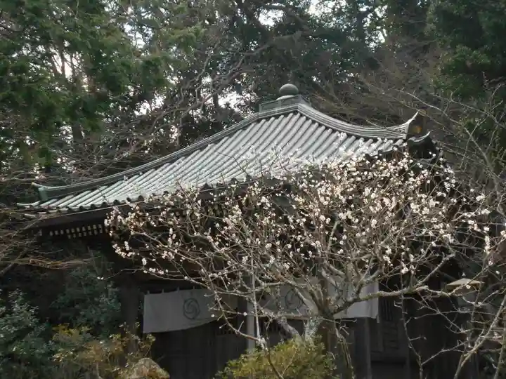 安國論寺(安国論寺)のその他建物