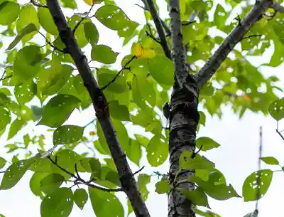 小垣江神明神社(愛知県)