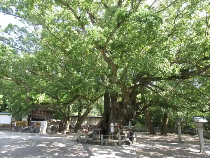 大麻比古神社の自然