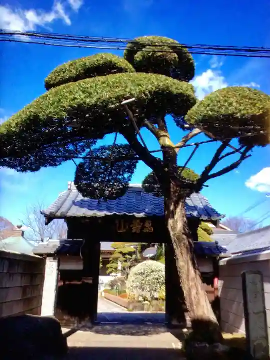 松應寺(東京都)