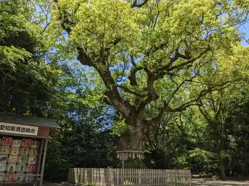 熱田神宮(愛知県)