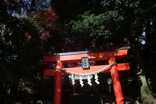 日吉神社の鳥居