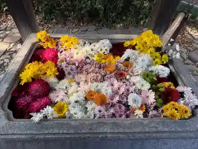 於菊稲荷神社(群馬県)