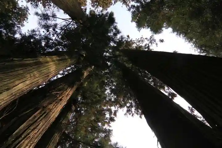 鹿島大神宮の自然