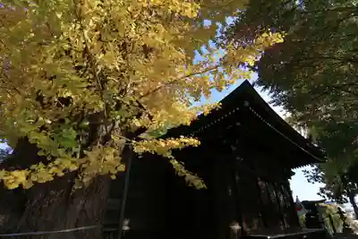 熊野福藏神社の本殿・本堂